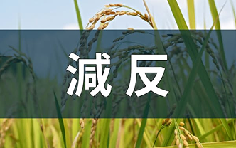 減反とは　コメの過剰生産を抑えて価格下落を防ぐ国の政策