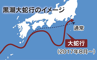 8年続いた「黒潮大蛇行」終わるとどうなる？　気温や漁獲量への影響は